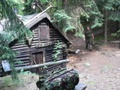 p1320839.jpg