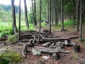p1320900.jpg