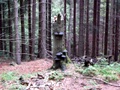 p1330006.jpg