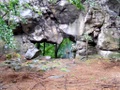 p6115226.jpg