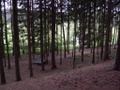 p1370820.jpg