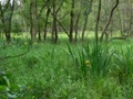 p1370857.jpg