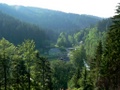 p1550696.jpg