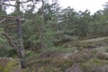 p1130493.jpg