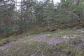 p1130504.jpg