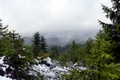 p1130788.jpg