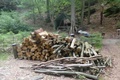 p1230500.jpg