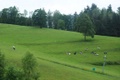 o6200005.jpg