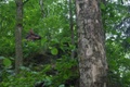 o6200210.jpg