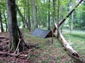 dsc00002.jpg