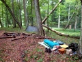 dsc00006.jpg