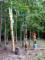 dsc00027.jpg