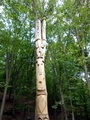 dsc00030.jpg