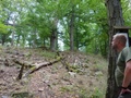 dsc00031.jpg