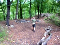 dsc00036.jpg