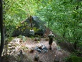 dsc00037.jpg