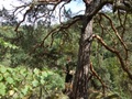 dsc00047.jpg