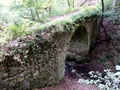 dsc00064.jpg