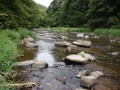 dsc00066.jpg