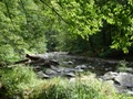 dsc00070.jpg