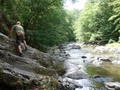 dsc00078.jpg