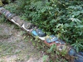 dsc00085.jpg