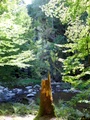 dsc00092.jpg