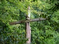 dsc00097.jpg