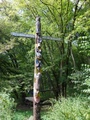 dsc00099.jpg