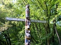 dsc00101.jpg