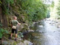 dsc00105.jpg