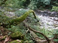 dsc00107.jpg