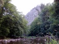 dsc00110.jpg