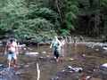 dsc00117.jpg