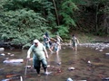 dsc00119.jpg