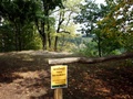 dsc00193.jpg