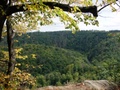 dsc00195.jpg