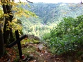 dsc00200.jpg